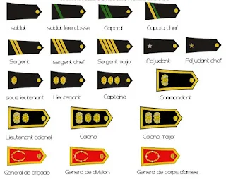 القوات البرية للقوات المسلحة الملكية ARMEE DE TERRE